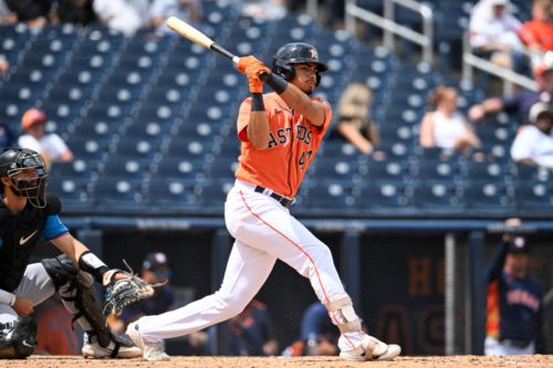 Astros Prospect Report: June 11th