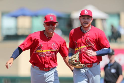St. Louis Cardinals Top 15 Prospects