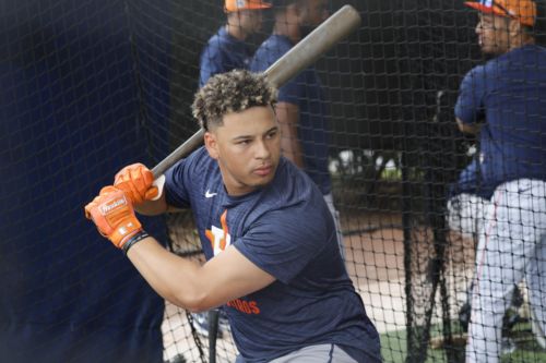 Astros Prospect Report: June 13th