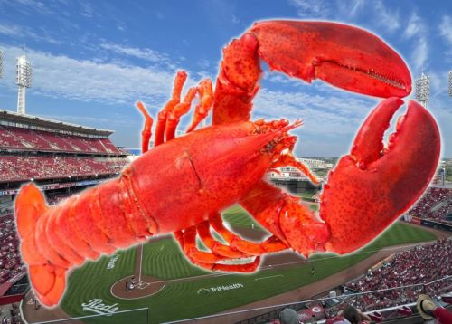 Diamondbacks 1, Cincinnati 2: LOBsterFest 2026!