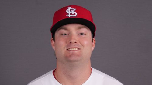 Last season's trade acquisition looks to power his way into the Cardinals' plans