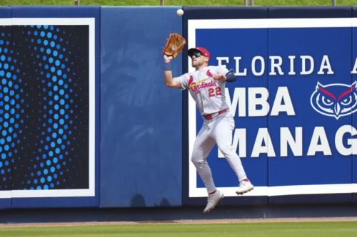 Tigers, Michael Siani Agree To Minor League Contract