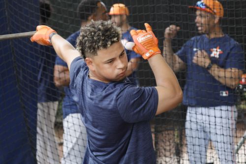 Astros Prospect Report: June 17th