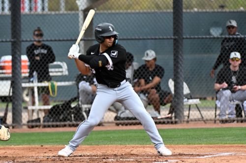 White Sox Minor League Update: May 31, 2026