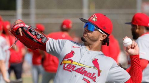 Cardinals promote sweet-swinging prospect to Triple-A amidst career year