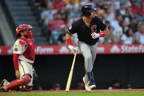 GUARDIANS AT ANGELS: Urena vs Williams, discussion