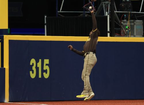 Padres lose to Rays in brutal fashion after drop of would-be game-winning out over the wall for home run