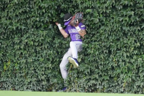 Purple Row After Dark: Which Colorado Rockie has most surprised you this season?